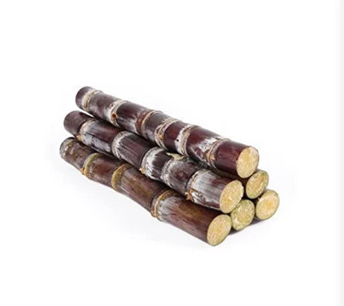 Premium Red Sugarcane Seeds – High-Yield, Organic, and Disease-Resistant Variety for Tropical & Subtropical Growth