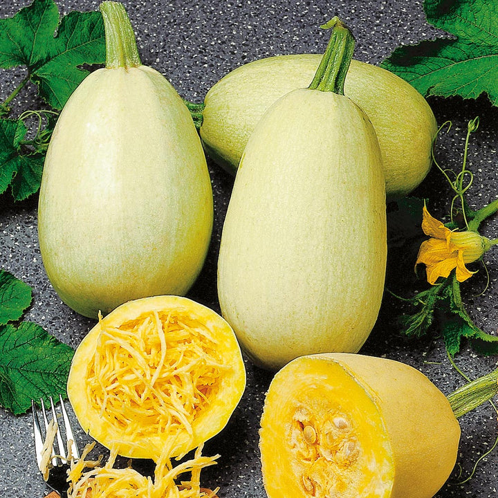 Pumpkin Almond Spaghetti Seeds for Planting