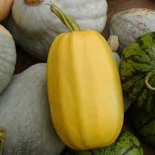 Pumpkin Almond Spaghetti Seeds for Planting