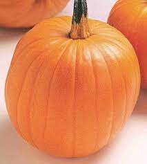 Pumpkin Almond Tom Fox Seeds for Planting
