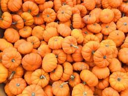 Pumpkin Seeds
