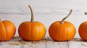 Pumpkin Seeds