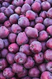 Purple Apple Fruit Seeds for Planting