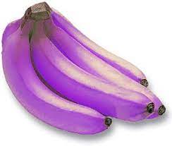 Purple Banana Fruit Seeds for Planting