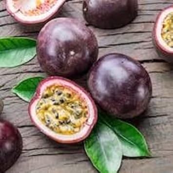 Purple Passion Fruit Seeds for Planting