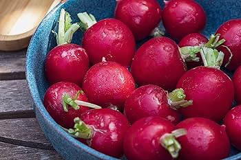 Radish Red Fruit & Vegetable Seeds for Planting