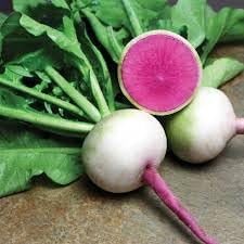 Radish Starburst Seed Pack for Planting | Heirloom Non-GMO Organic Garden Seeds for Vibrant Tasty Radishes