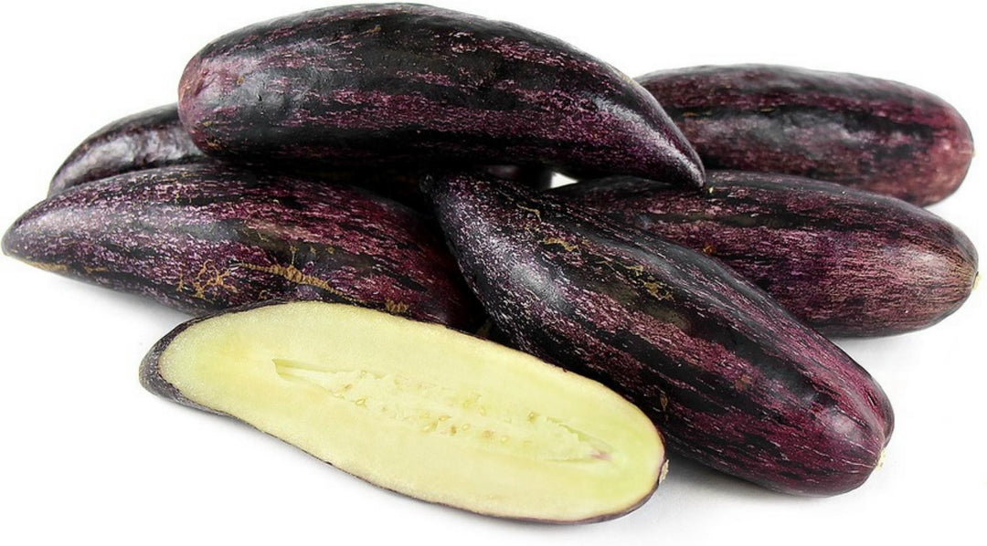 Rare Giant Purple Pepino Fruit Seeds (Solanum muricatum)
