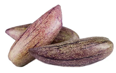 Rare Giant Purple Pepino Fruit Seeds (Solanum muricatum)
