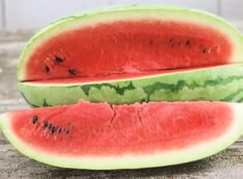 Rattlesnake Watermelon Fruit Seeds for Planting