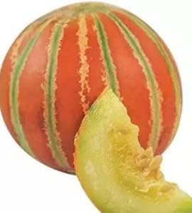 Red and Green HAMI Melon Fruit Seeds