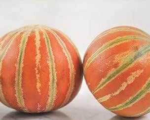 Red and Green HAMI Melon Fruit Seeds