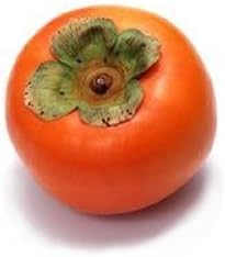 Red Asian Persimmon Fruit Seeds