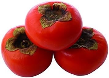 Red Diospyros (Persimmon) Fruit Seeds for Planting