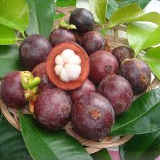 Red Mangosteen Fruit Seeds for Planting | Heirloom Non-GMO Organic Seeds for Exotic, Sweet Fruits