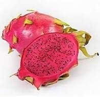 Red Pitaya Fruit Seeds for Planting