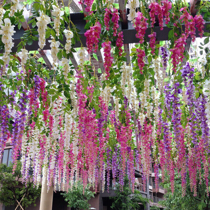 Mixed Wisteria Flower Seeds for Planting – Heirloom, Non-GMO Climbing Vine Seeds for Garden
