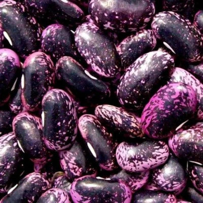 scarlet runner flower seeds