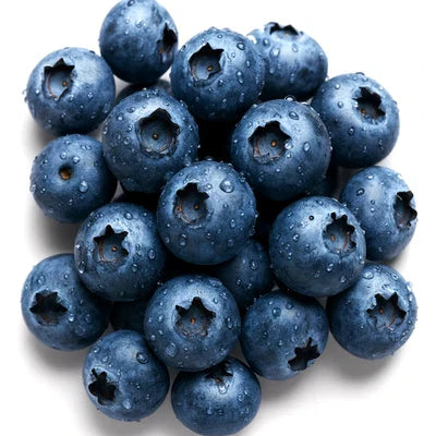 european blueberry flower seeds