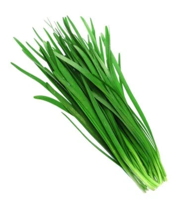 chinese chives flower seeds