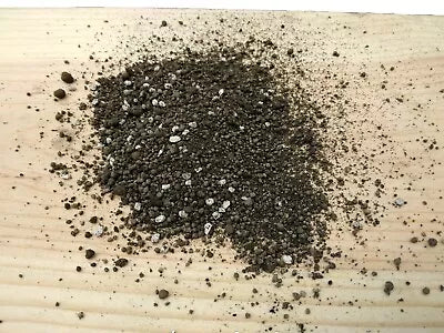 lb super flower seeds