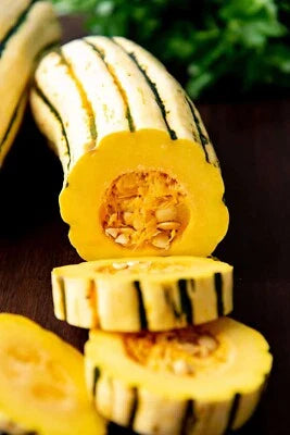 Delicata Squash Planting Cucurbita Pepo Organic Non Gmo Never Sprayed Or Treated Heirloom