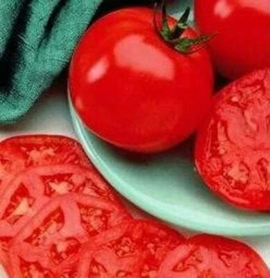 Tomato Manalucie Lycopersicon Esculentum Heat Tolerant Garden Plant Heirloom Non Gmo Flower Seeds