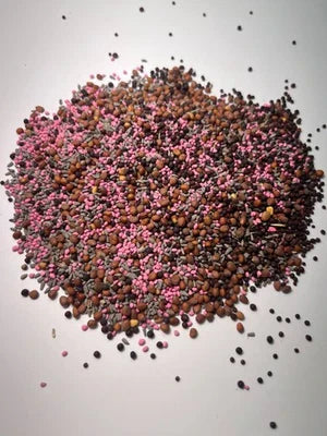 Lbs Redleaf Ridge Brassica Mix Clover Chicory Rape Radish Turnips Heirloom Non Gmo Drought Tolerant