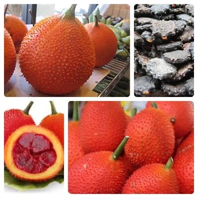 gac for flower seeds