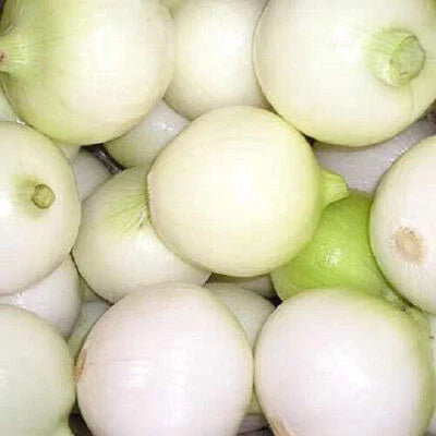 white yellow flower seeds