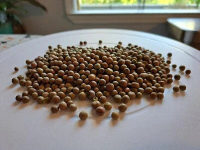 austrian winter flower seeds