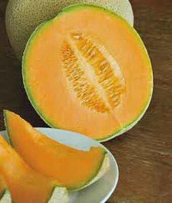Cantaloupe Hales Best Jumbo Heirloom Non Gmo Melon Non Gmo Flower Seeds Home Garden Planting,