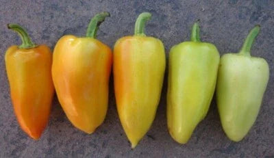 green white flower seeds