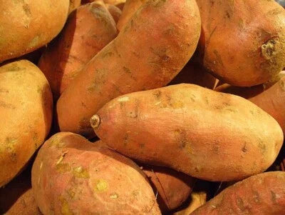 sweet potatoes flower seeds