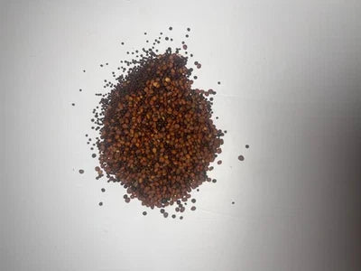 purple lbs flower seeds