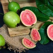 Salak Seeds for Unique Snakeskin-Like Tropical Fruits