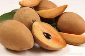 Sapodilla Fruit Seeds for Planting