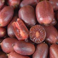 Scarlet Kiwi Fruit Seeds for Planting