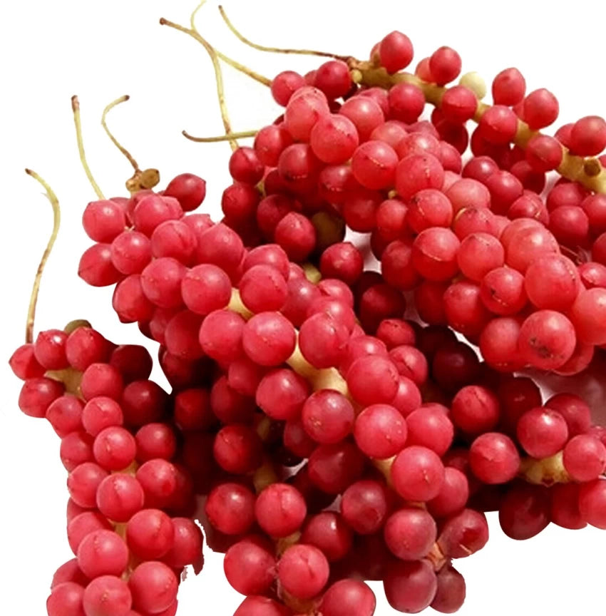 Schisandra Tree Seeds for Planting