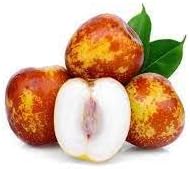Shanlix Jujube Fruit Seeds for Planting