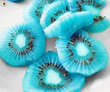 Sky Blue Kiwi Fruit Seeds for Planting