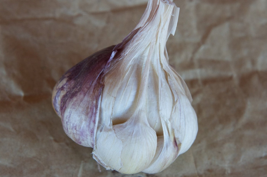 Softneck Artichoke Garlic Seeds for Planting-100 pcs