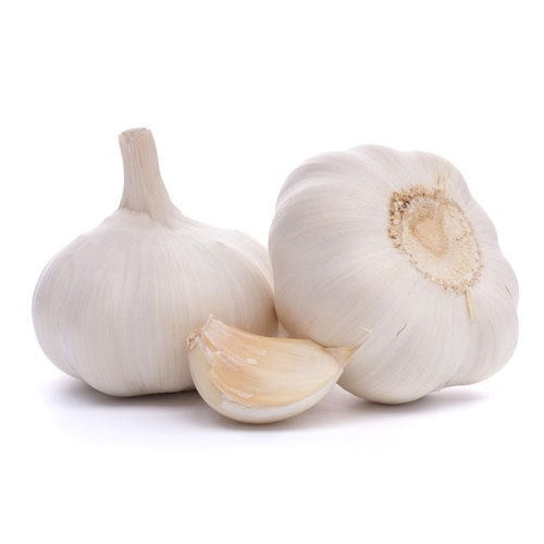 Garlic Softneck Bulbs for Planting – High Yield, Non-GMO, Cold-Hardy Garlic Seeds