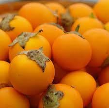 Solanum Quitoense Seeds