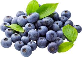 Southern Highbush Blueberries Fruit Seeds