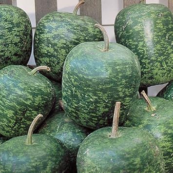 Speckled Apple Fruit Seeds for Planting