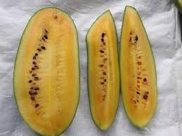 Star Fruit Seeds for Exotic and Shiny Tropical Fruits