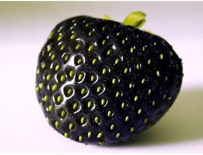 Strawberry Fruit Seeds for Planting