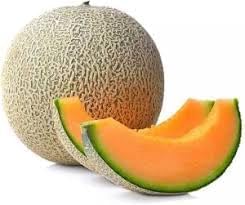 Sweet Hami Melon Organic Fruit Seeds for Planting