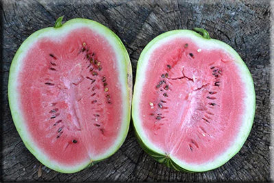 Orange vandmelonfrugtfrø - 20 stk, sommergodt til din baghave 100 stk.